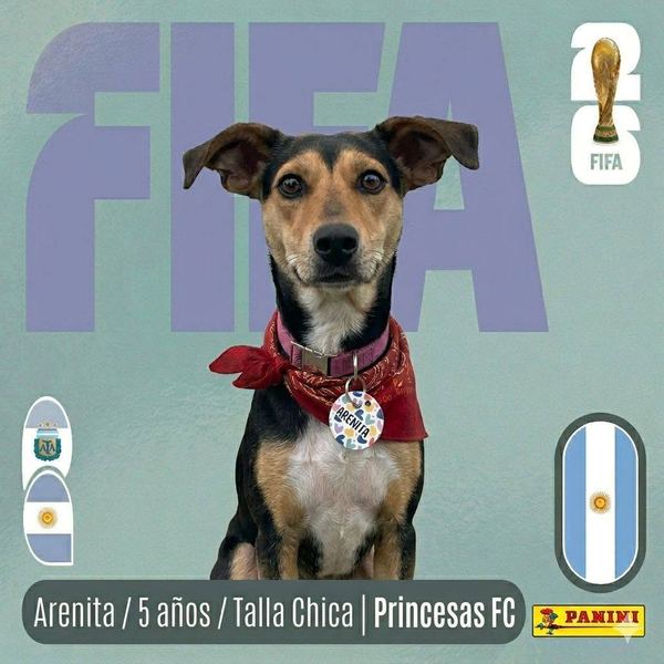 Arenita, 5 años, talla chica, en adopción en Lujaneritos