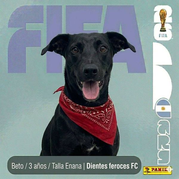 Beto, 3 años, talla enana, en adopción en Lujaneritos