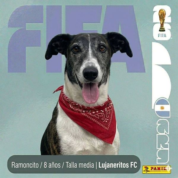 Ramoncito, 8 años, talla media, en adopción en Lujaneritos