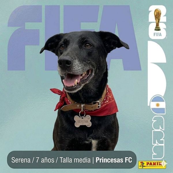 Serena, 7 años, talla media, en adopción en Lujaneritos