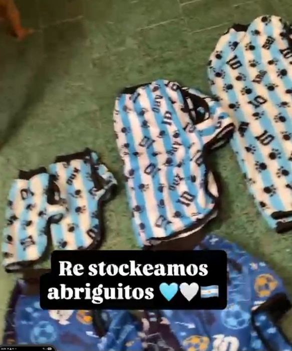 Abriguitos de polar con los colores de la selección argentina